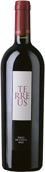 Terreus Tinto 2021