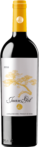 Juan Gil 4 meses 2023